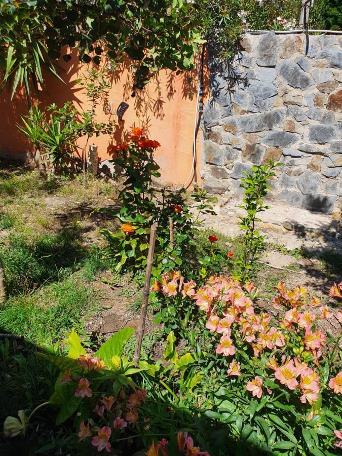 Stella Sulcitana Bed & Breakfast Gonnesa Luaran gambar